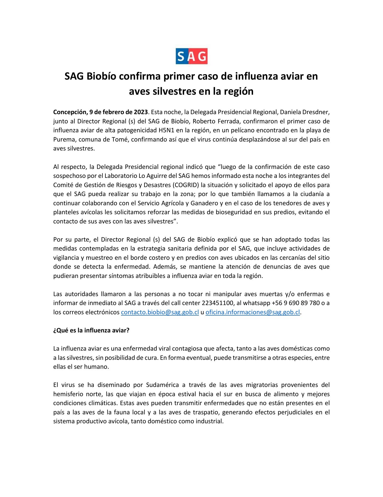 SAG Biobío confirma primer caso de influenza aviar 09 02 2023 docx