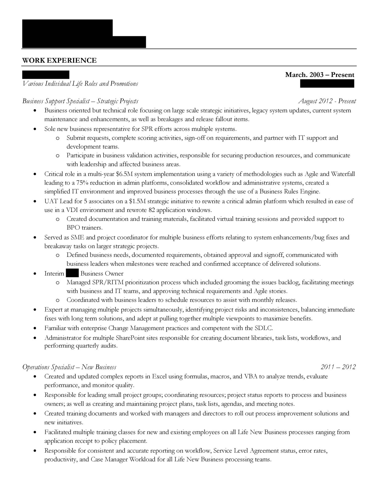 Redacted Resume Pdf DocDroid