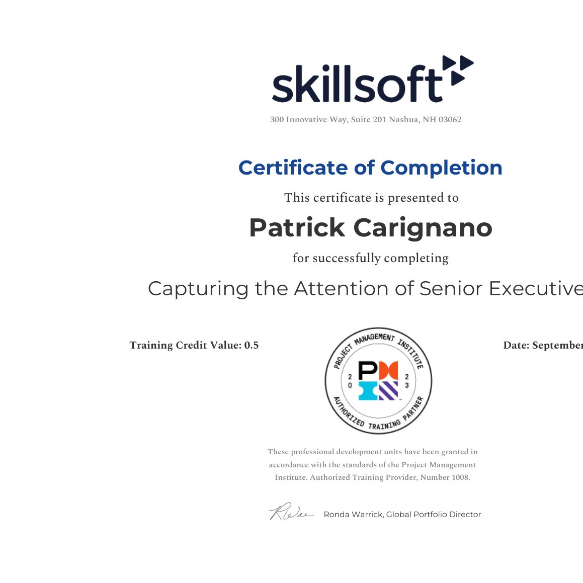 Capturing The Attention Of Senior Executives Pdf Docdroid