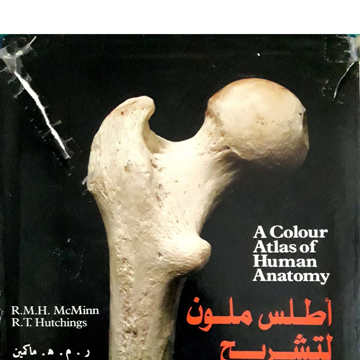 A Colour Atlas Of Human Anatomy Arabic Pdf DocDroid