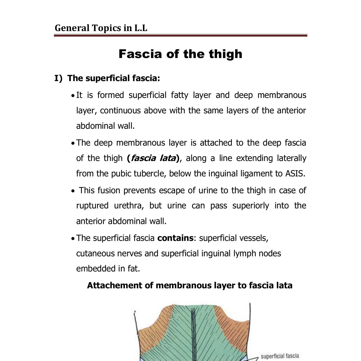 Anatomy General Topics Of Lower Limb Doc Docdroid