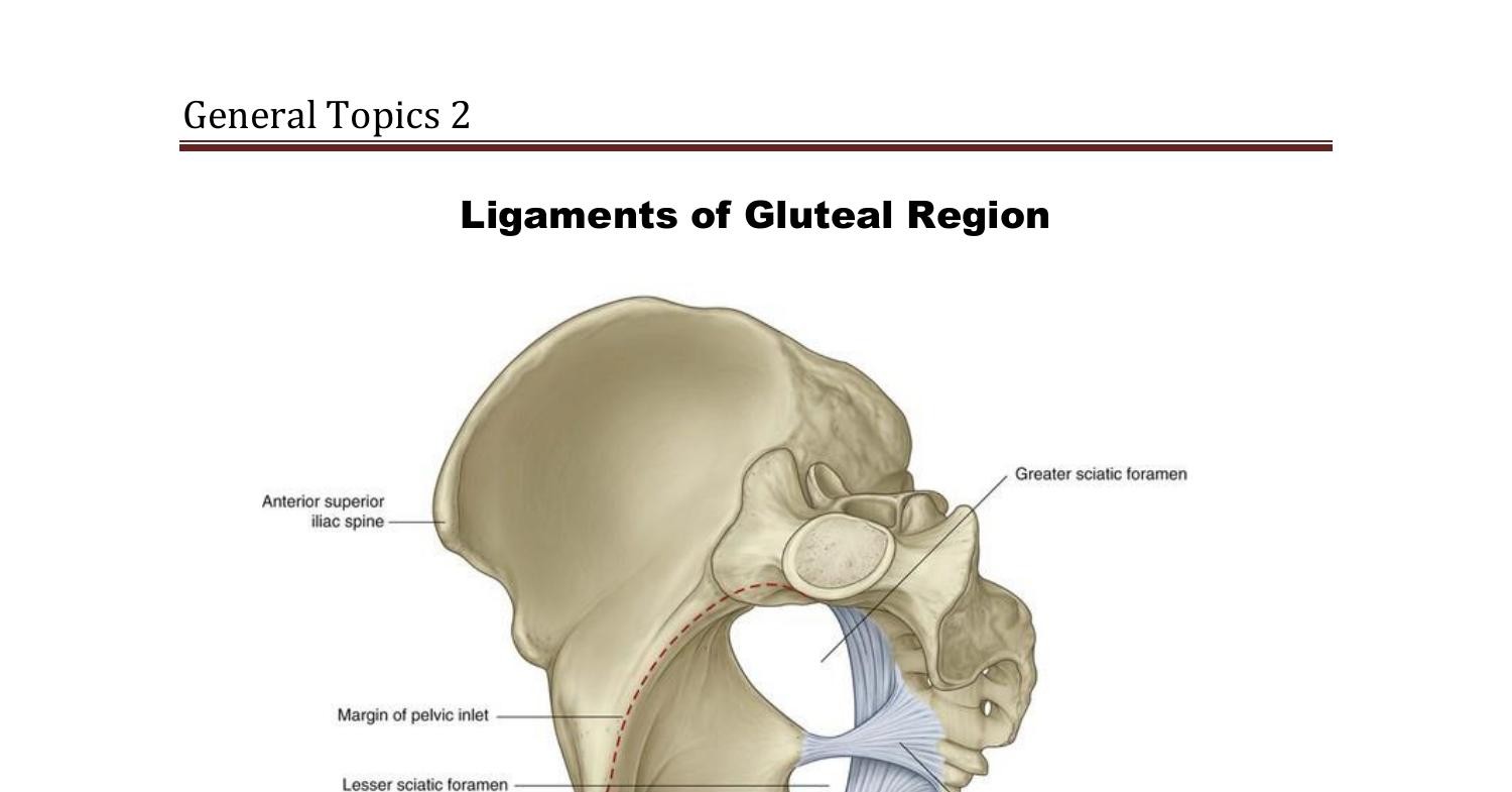 Anatomy General Topics Lower Limb Doc Docdroid