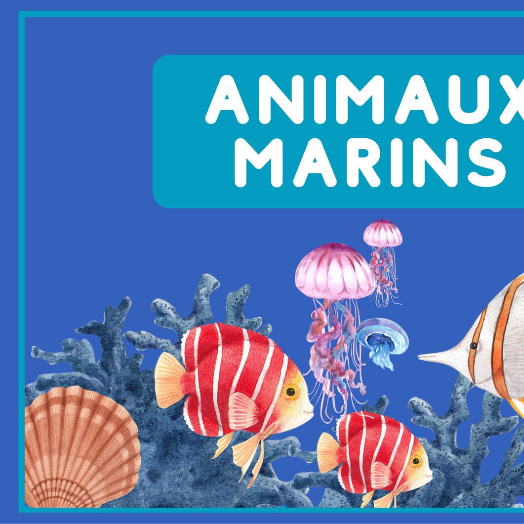 Les Animaux Marins Pdf DocDroid