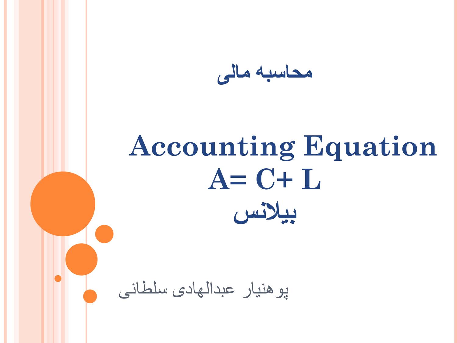 accounting equation assignment pdf