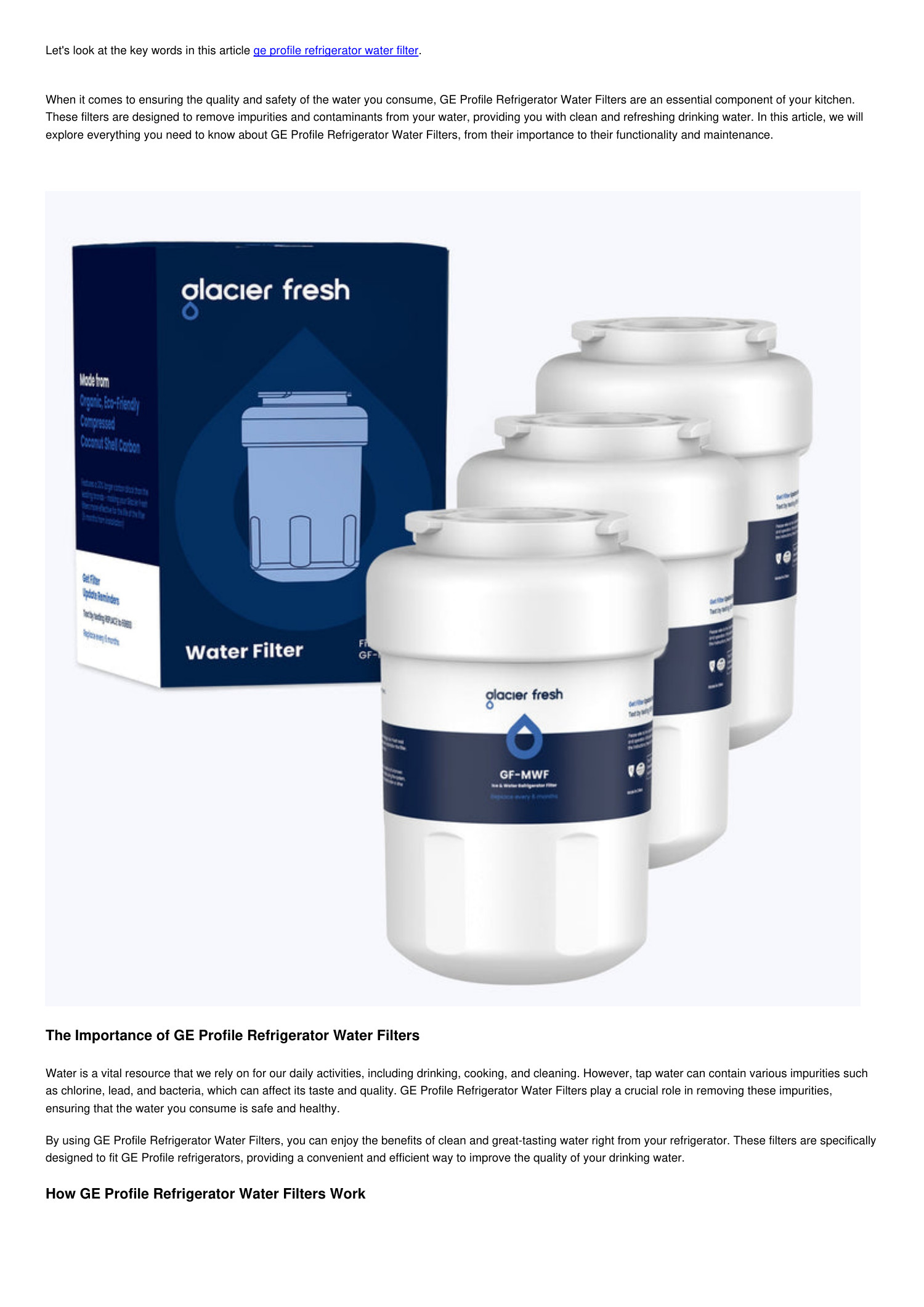 Everything You Need to Know About GE Profile Refrigerator Water Filters