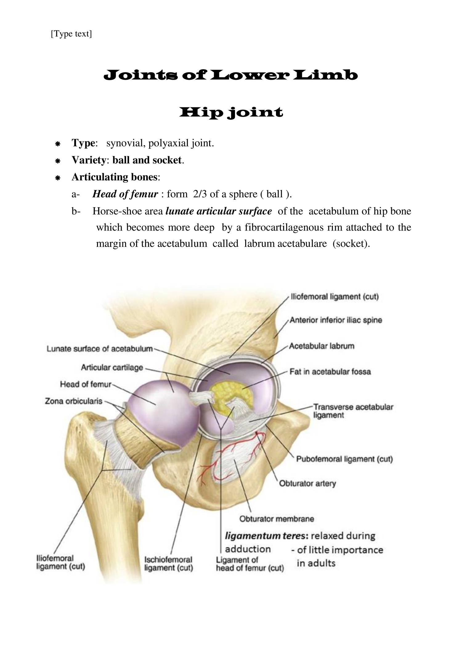 Anatomy joints of lower limbs 2018.doc | DocDroid