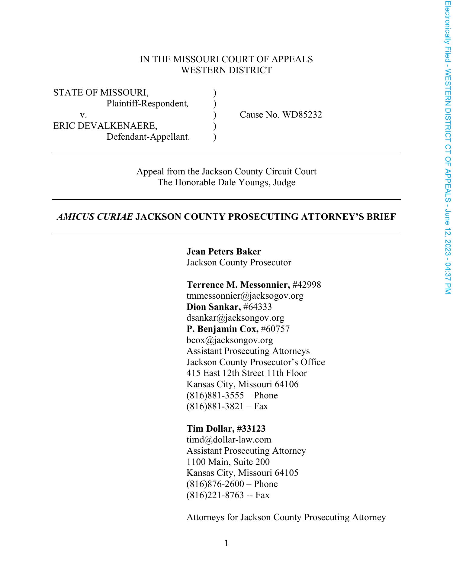 Conditionally Filed Amicus Brief.pdf | DocDroid