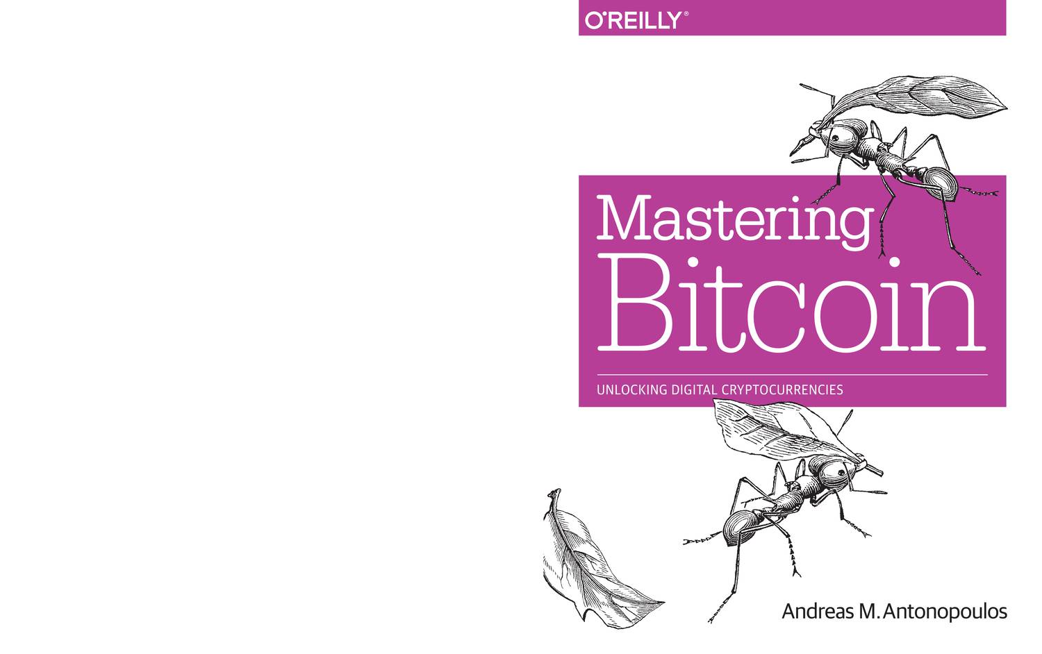 pdf mastering bitcoin