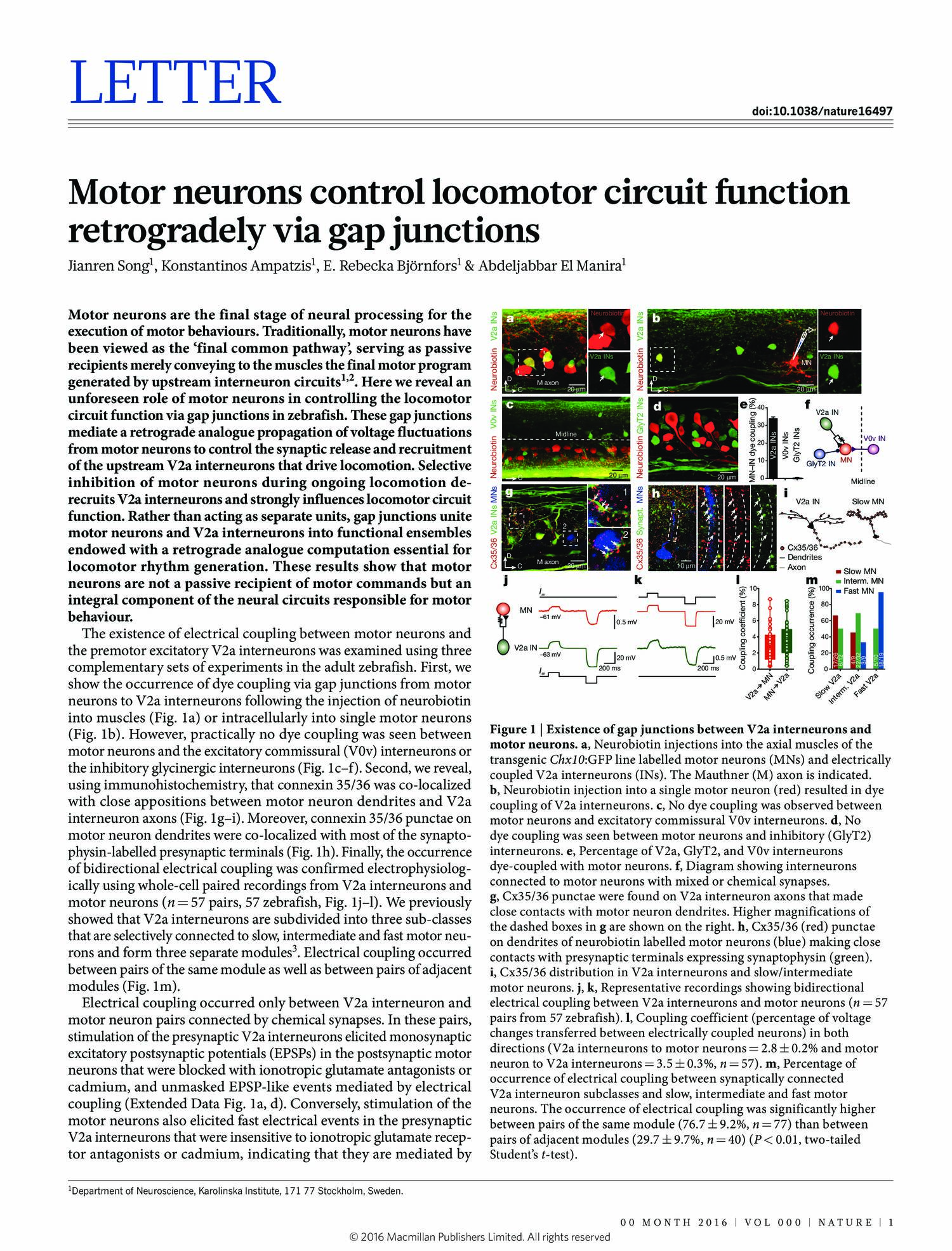 Motor Neurons Control External Organs True Or False