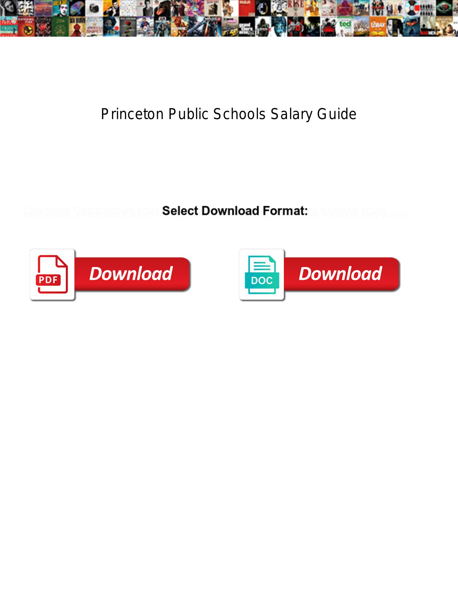 princeton public schools salary guide pdf DocDroid