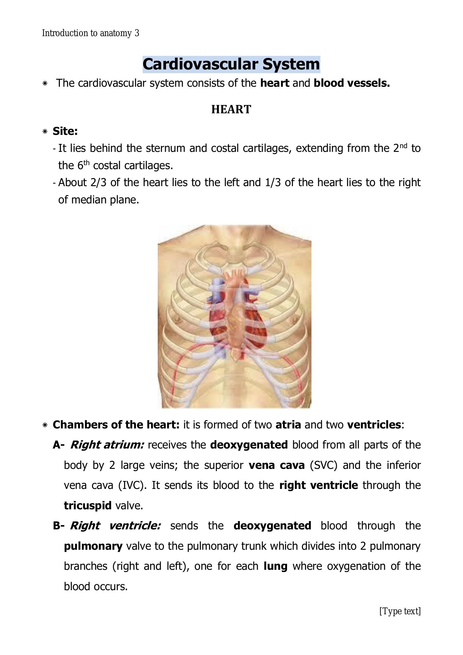 Introduction to anatomy 3.doc | DocDroid