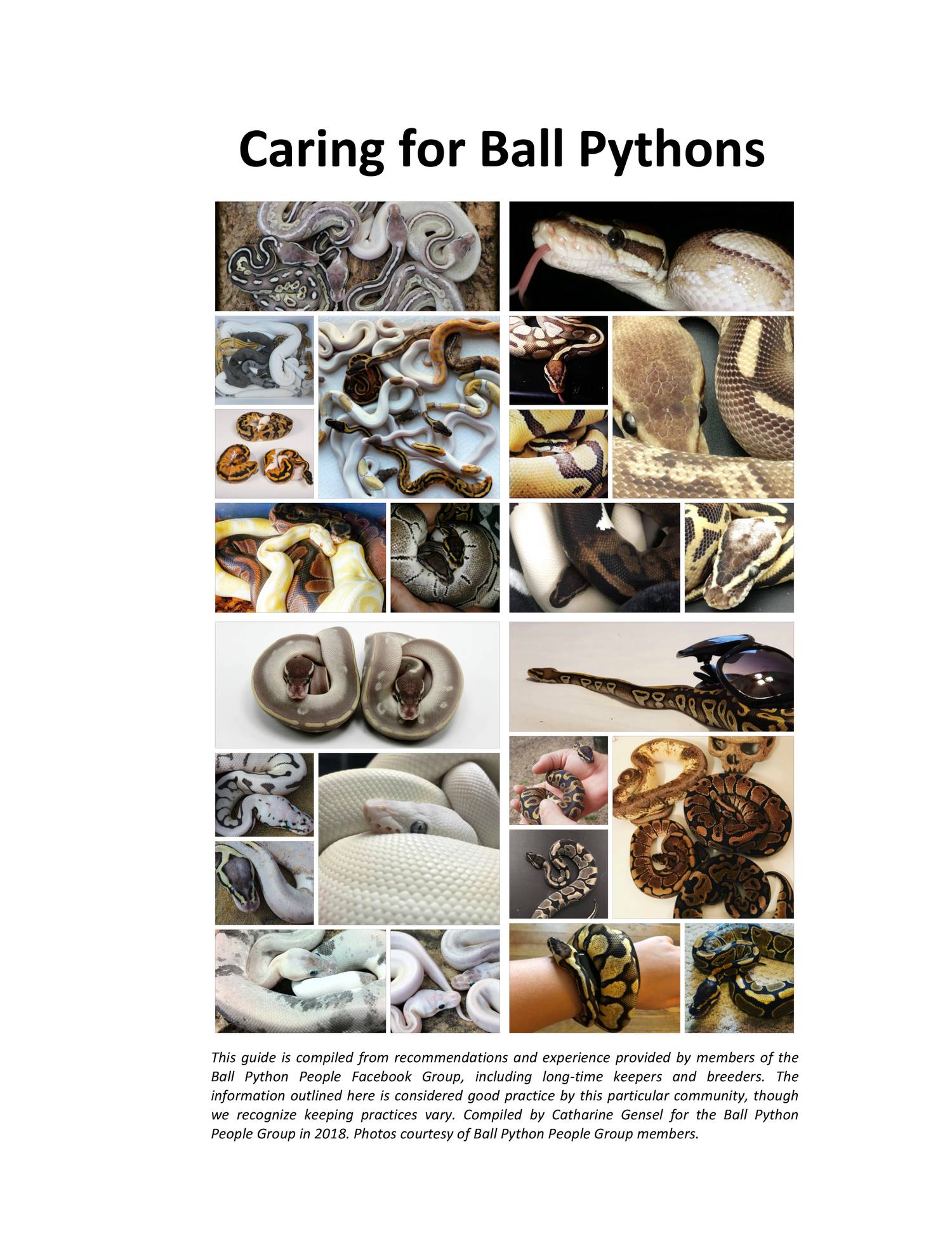 Ball-Python-Care-Guide.pdf | DocDroid