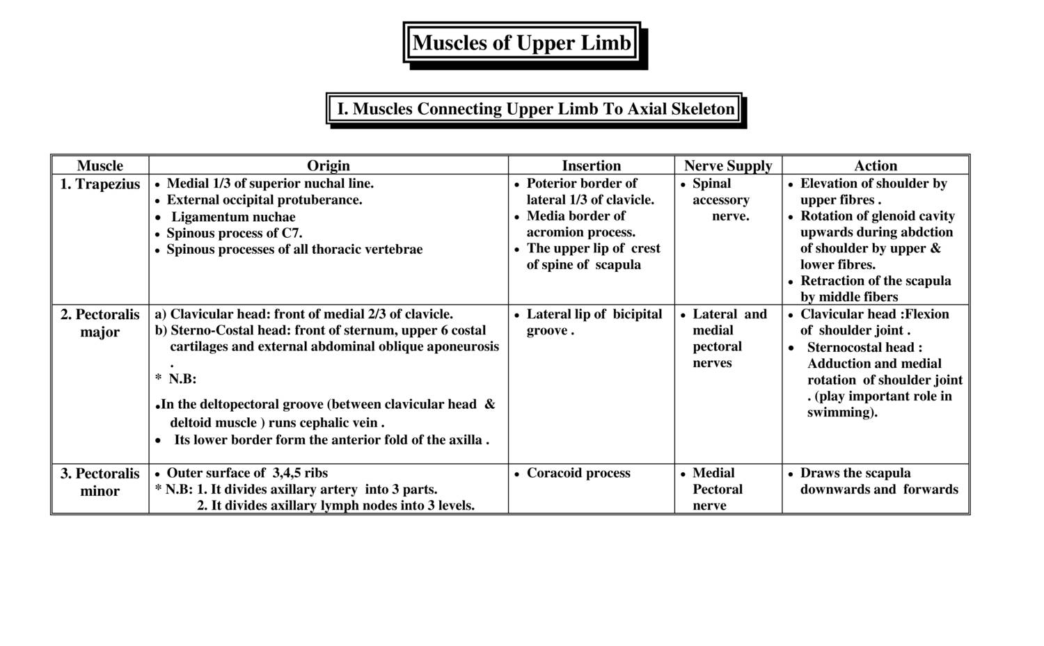 Anatomy Muscles Of Upper Limb Doc Docdroid