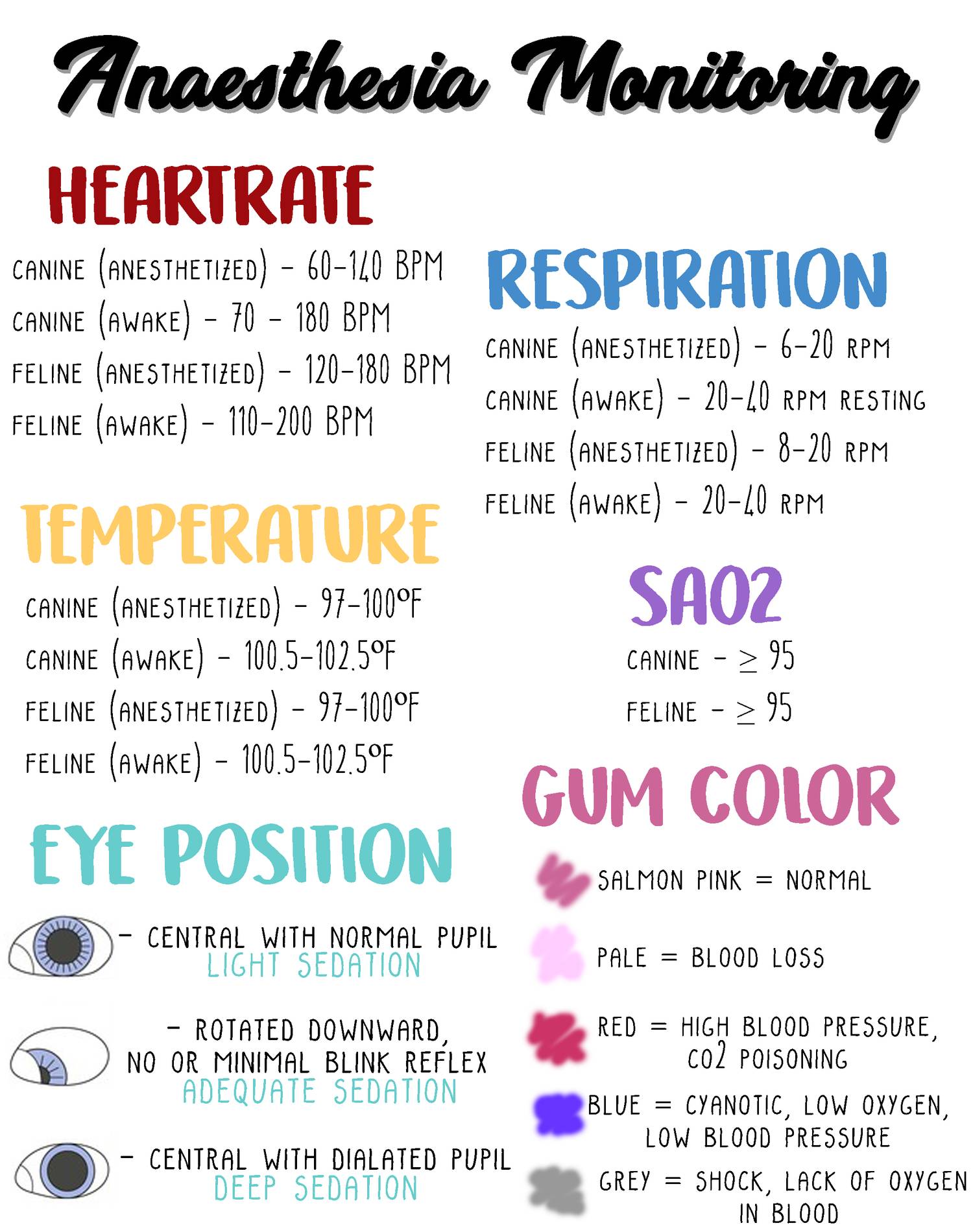 essential anatomy for anesthesia