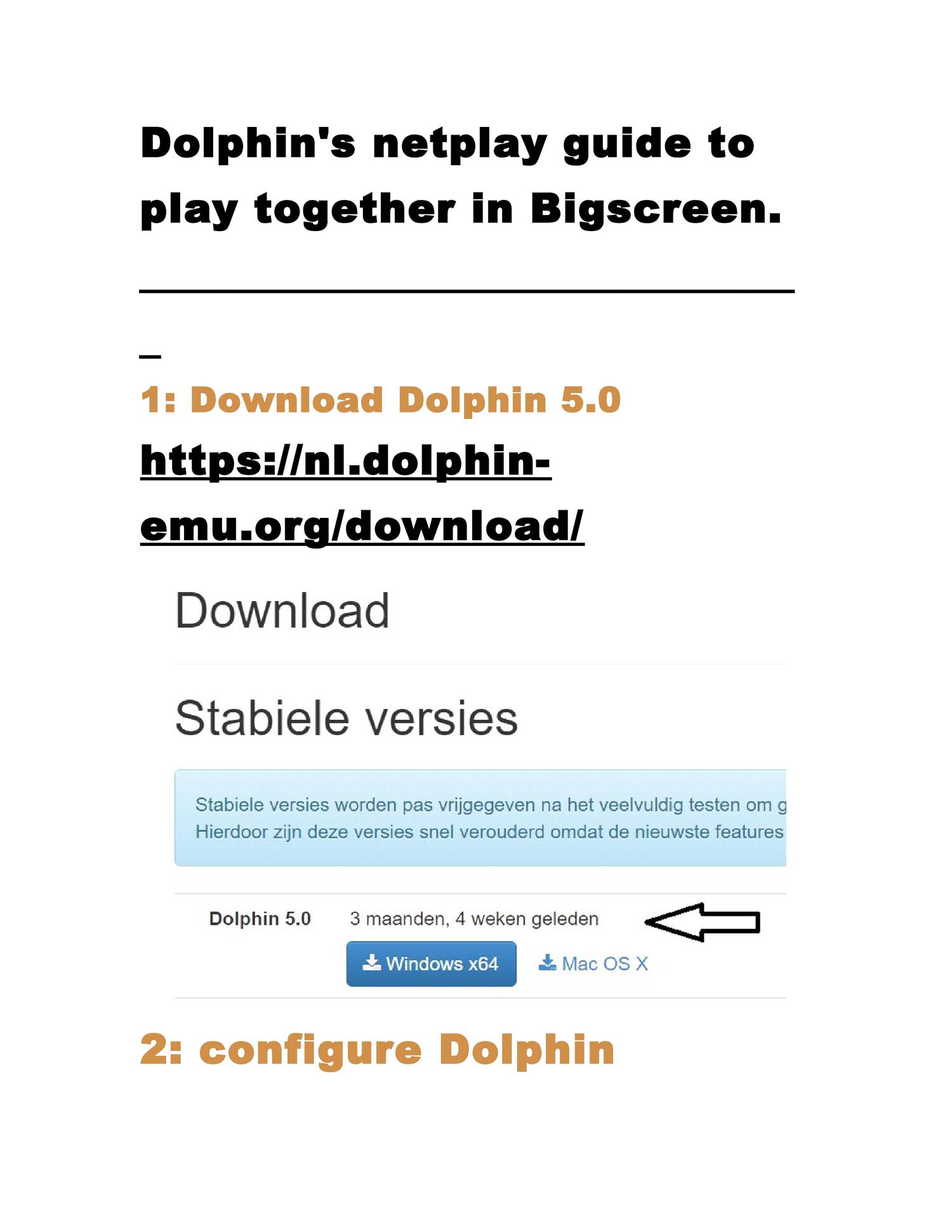Dolphin Netplay Help