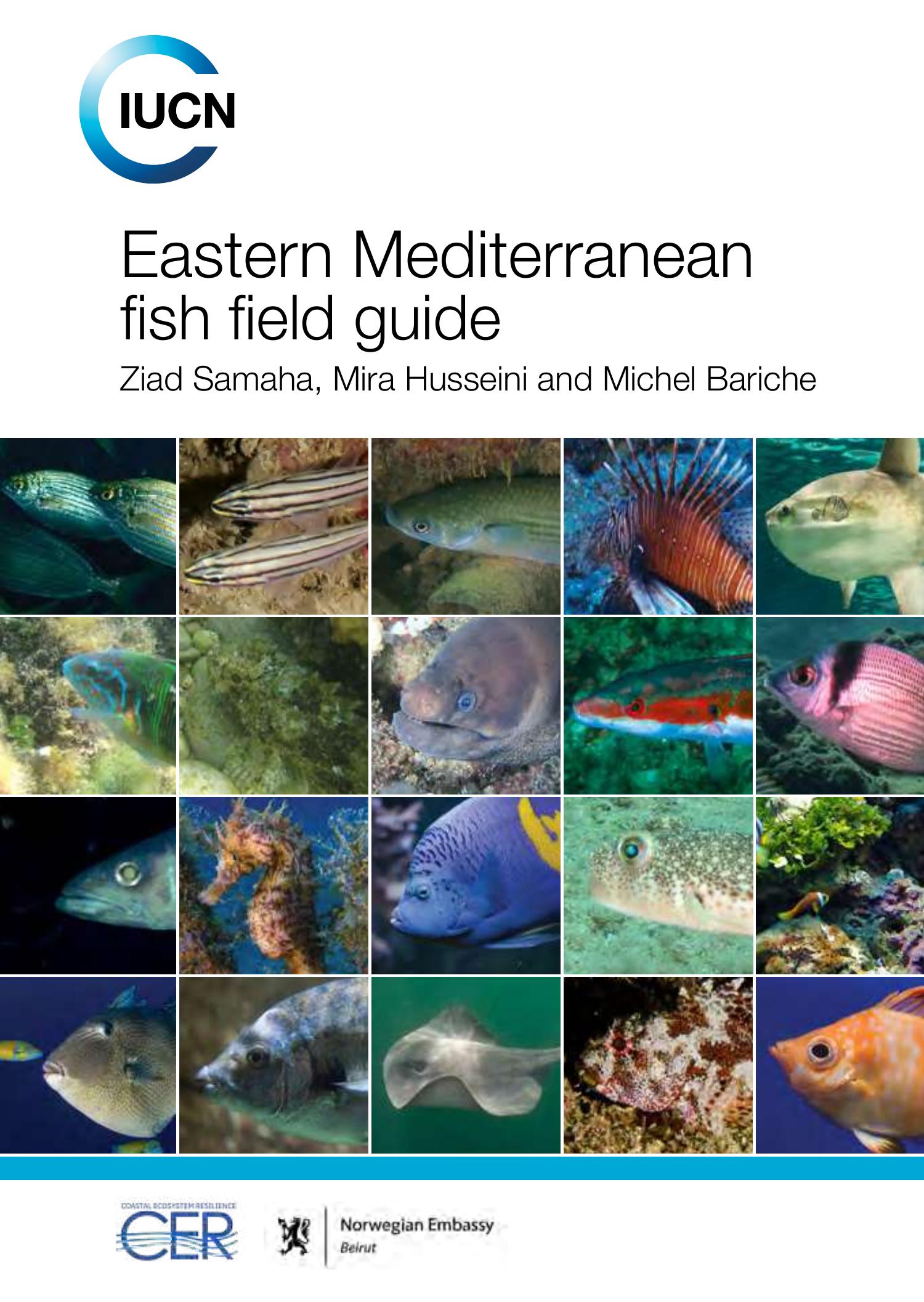 Eastern Med Fish Field Guide.pdf | DocDroid