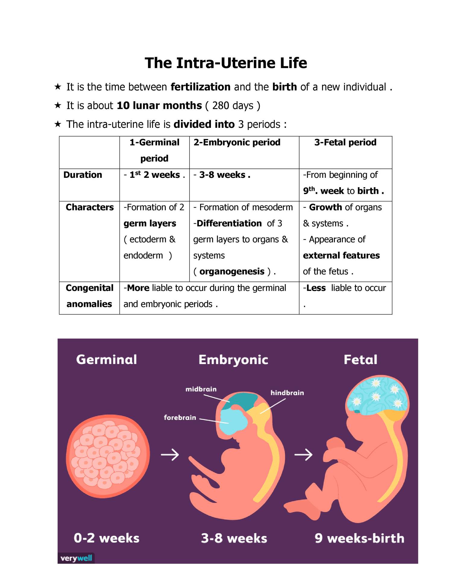 General Embryo Intra Uterine Lifedoc Docdroid 7744