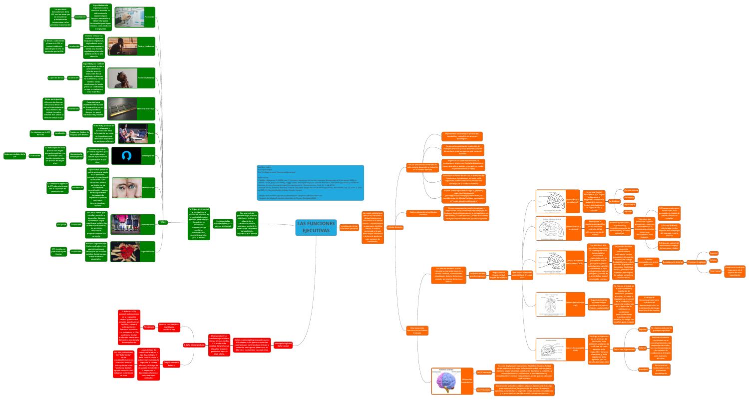 Act. 3.1 Mapa Mental “Funciones Ejecutivas”.pdf | DocDroid