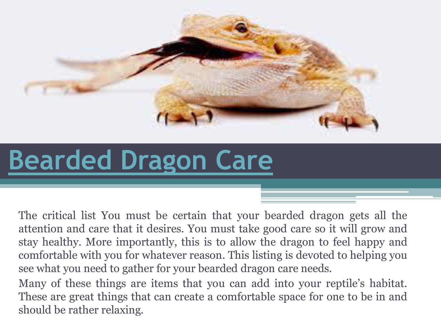 how to care for a bearded dragon book