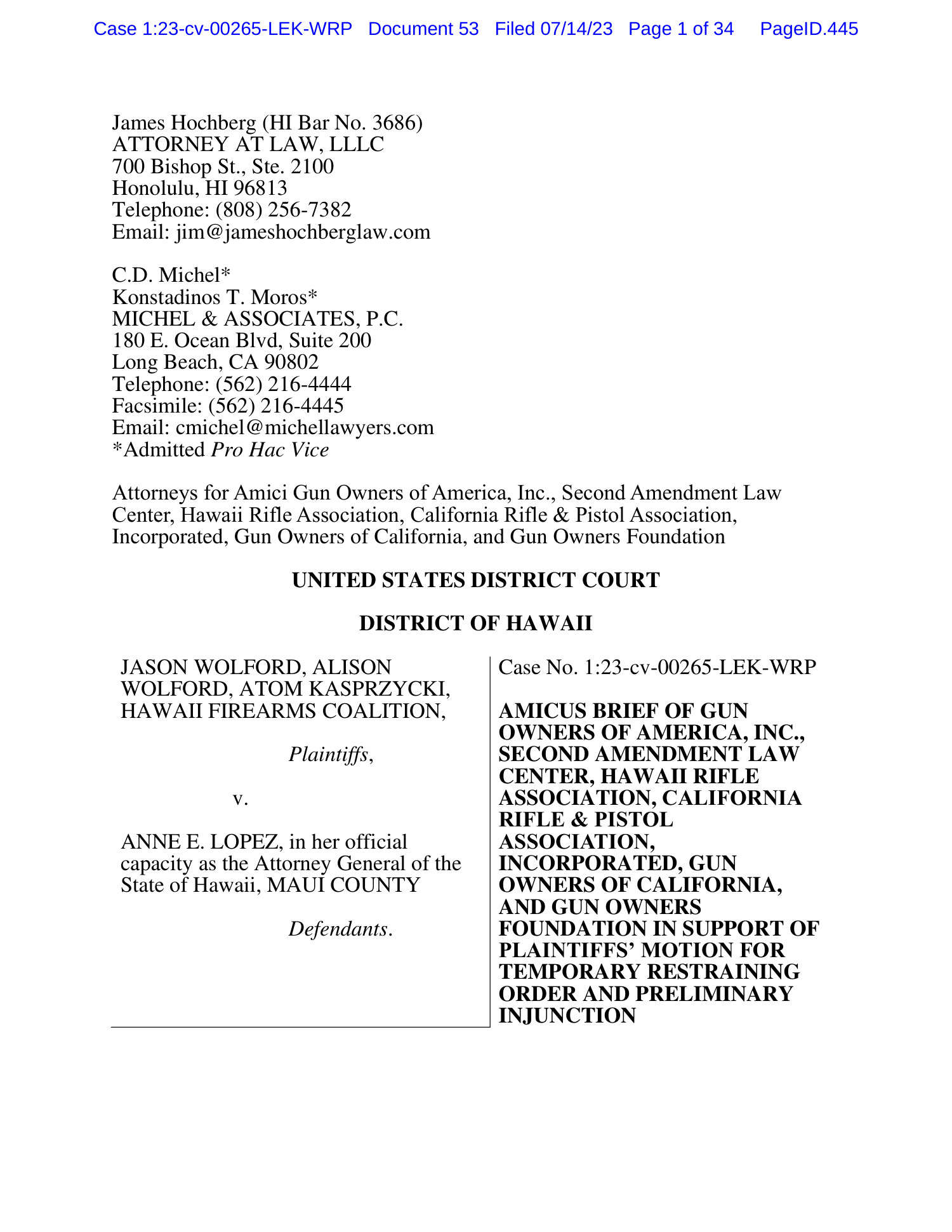 Wolford HRA Amicus Brief.pdf | DocDroid