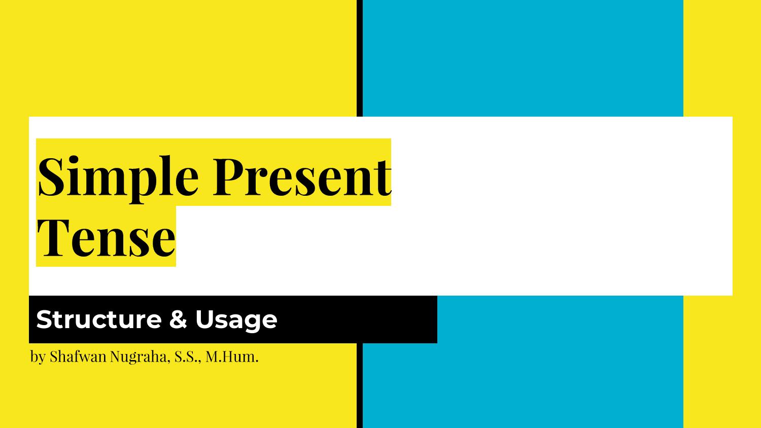 simple-present-tense-pdf-docdroid