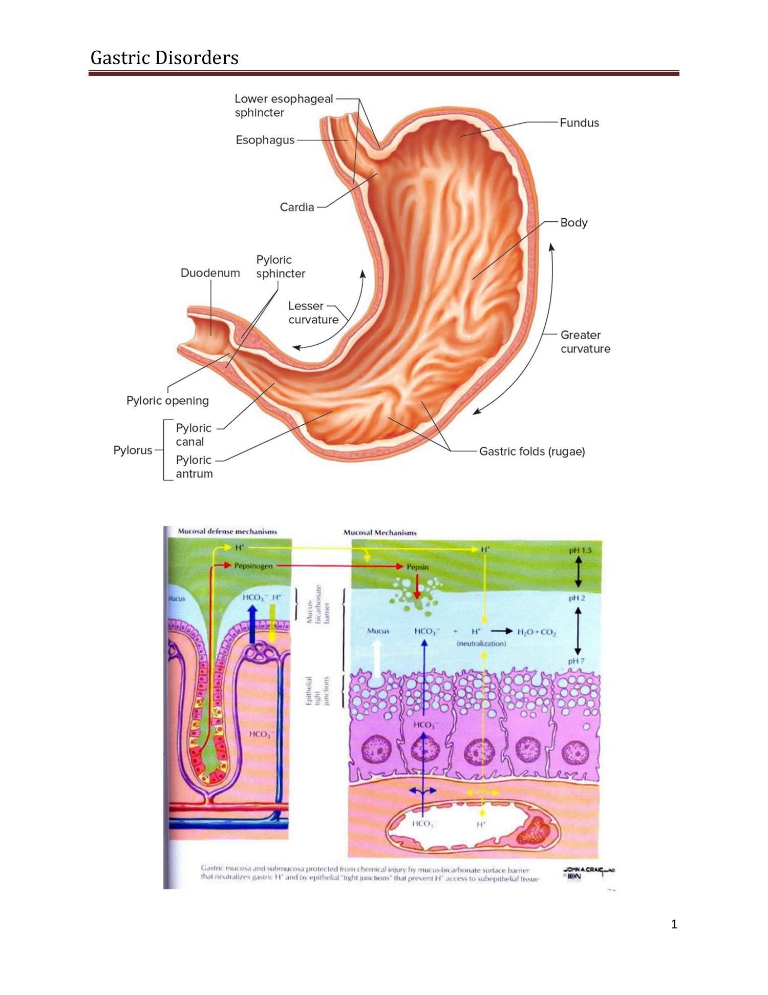 chronic peptic ulcer with hemorrhage icd 10