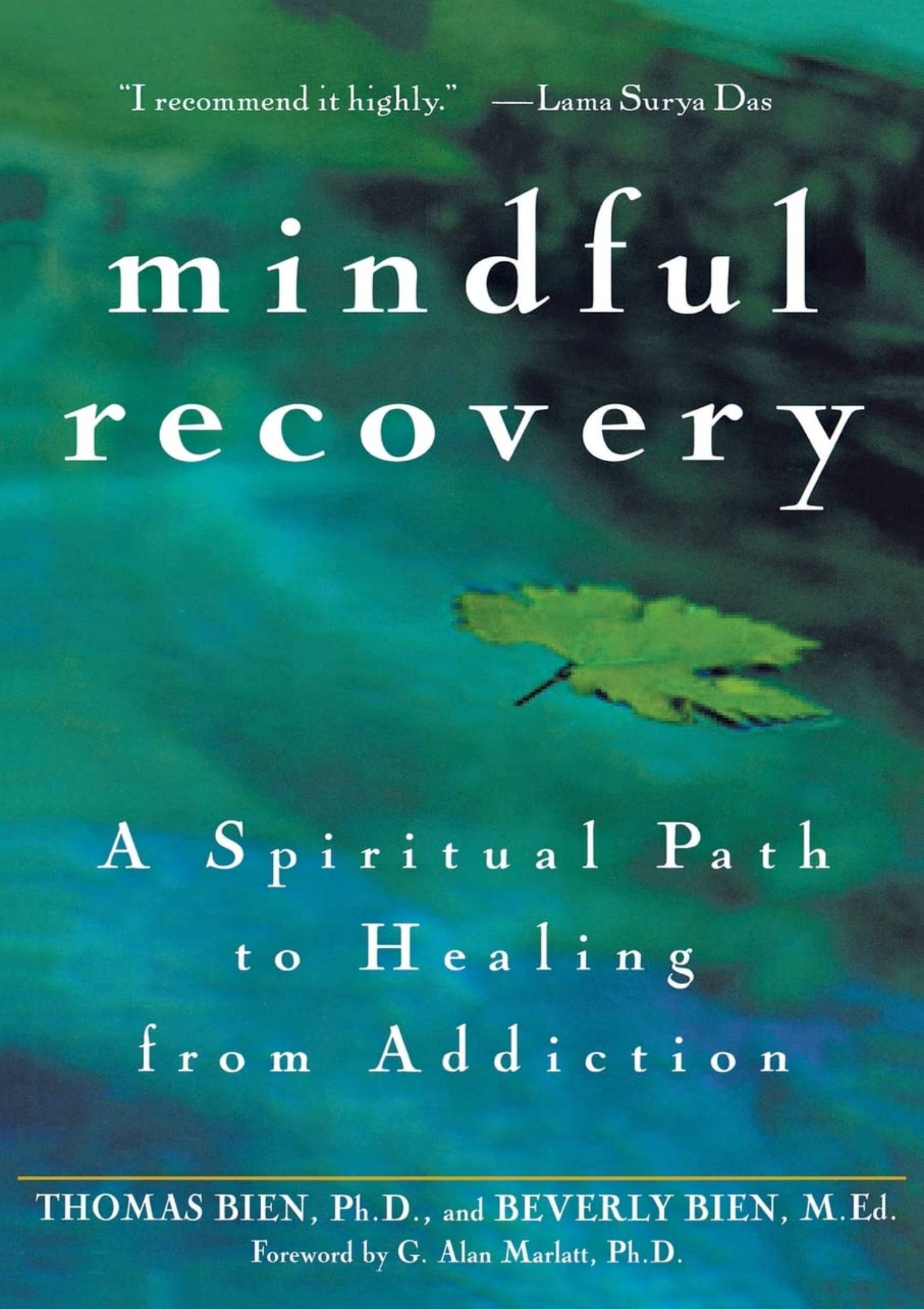 PDF Mindful Recovery A Spiritual Path to Healing from Addiction.pdf ...