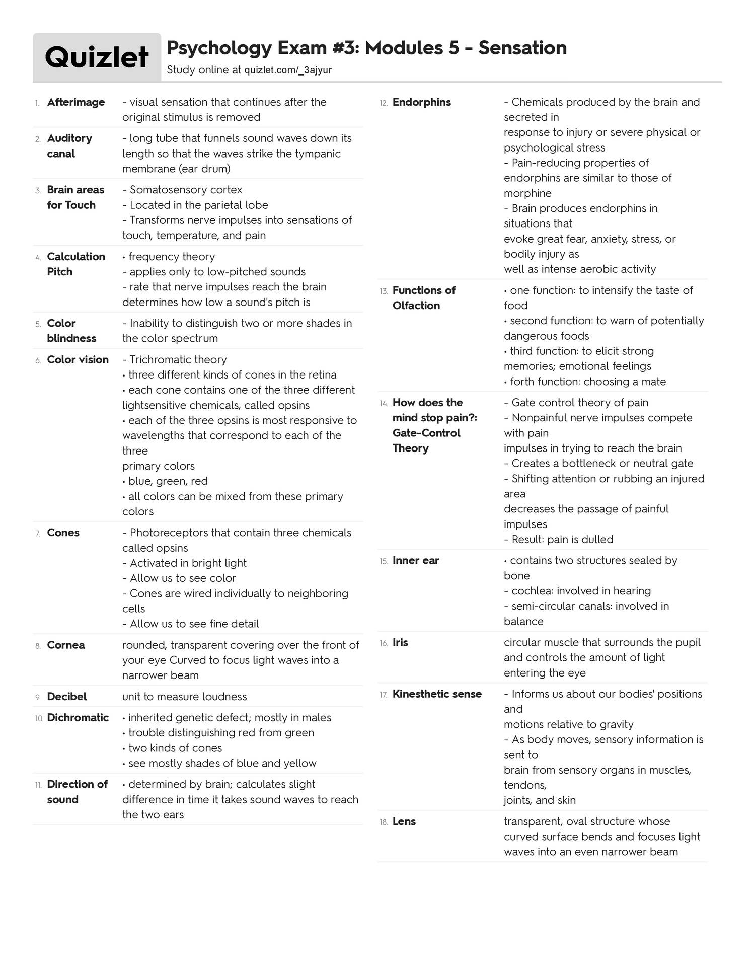 Sensation Quizlet pdf DocDroid