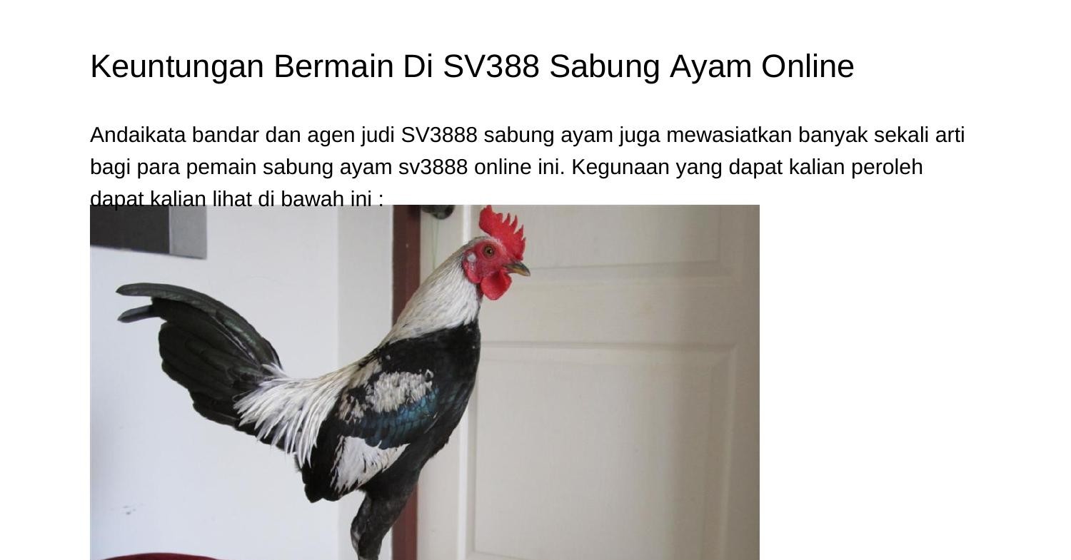 laba-bermain-di-sv388-sabung-ayam-onlinepbiyhpdf-pdf.jpg