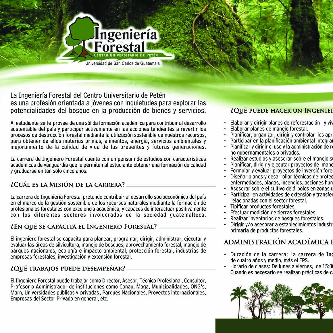 Pensum Ingenieria Forestal Cudep Pdf Docdroid