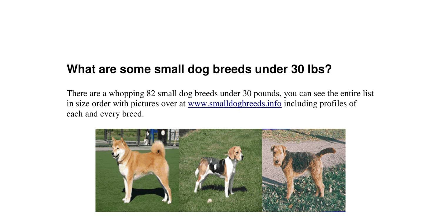 dog breeds under 30 pounds