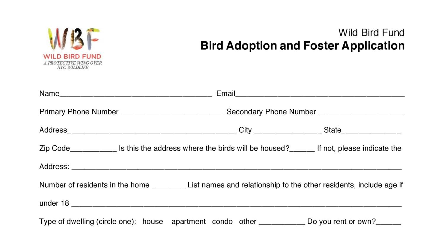bird adoption perth