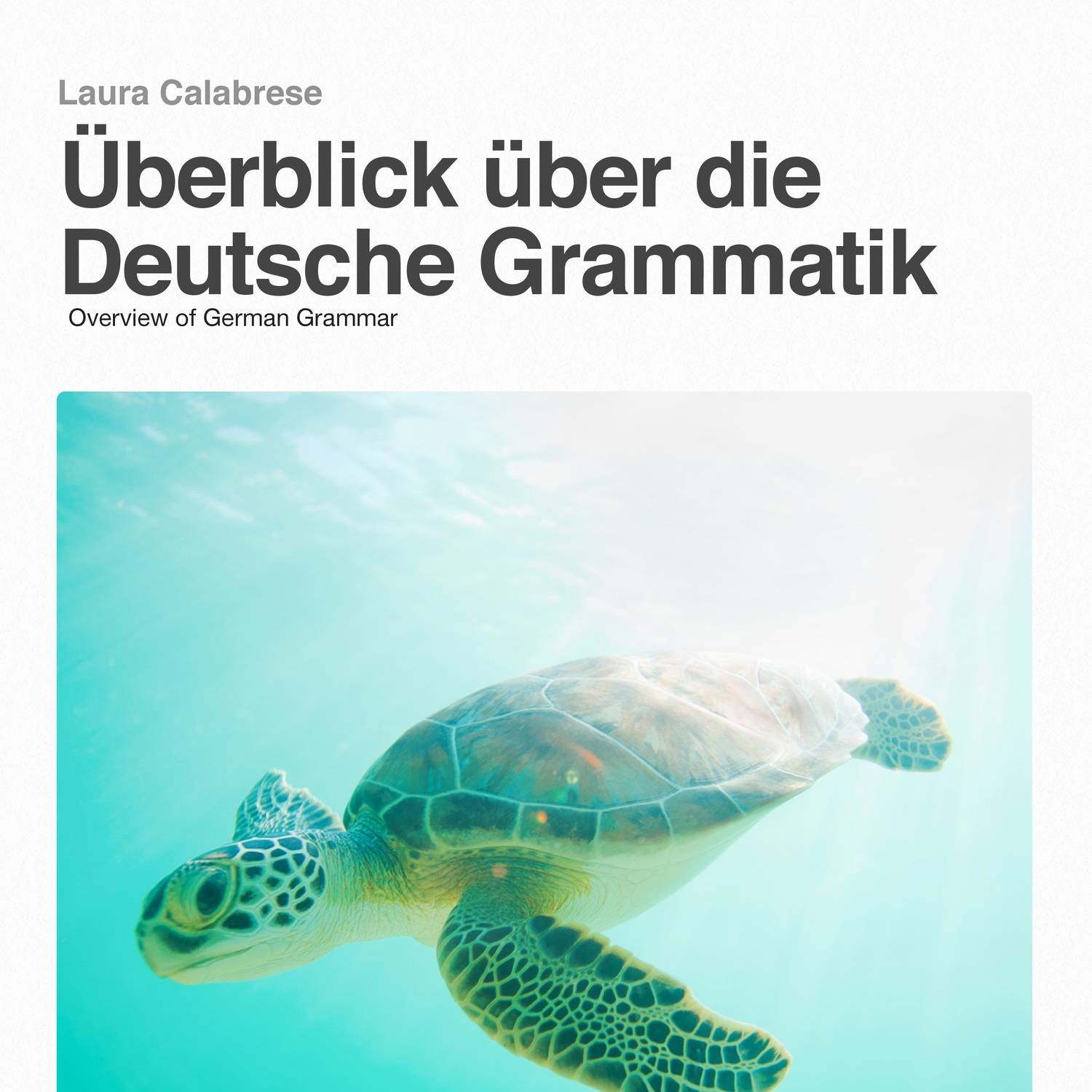german grammar book pdf