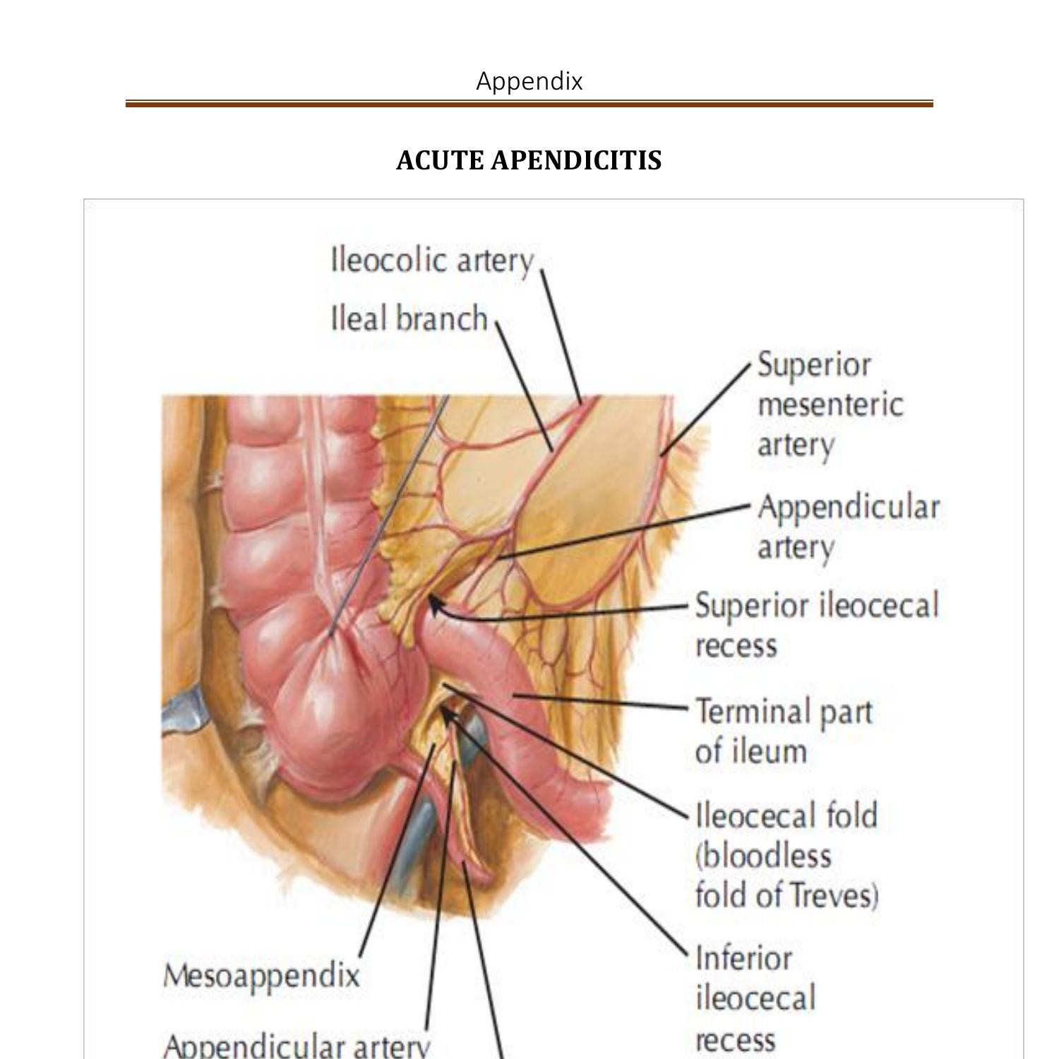 acute-appendicitis-final-doc-docdroid