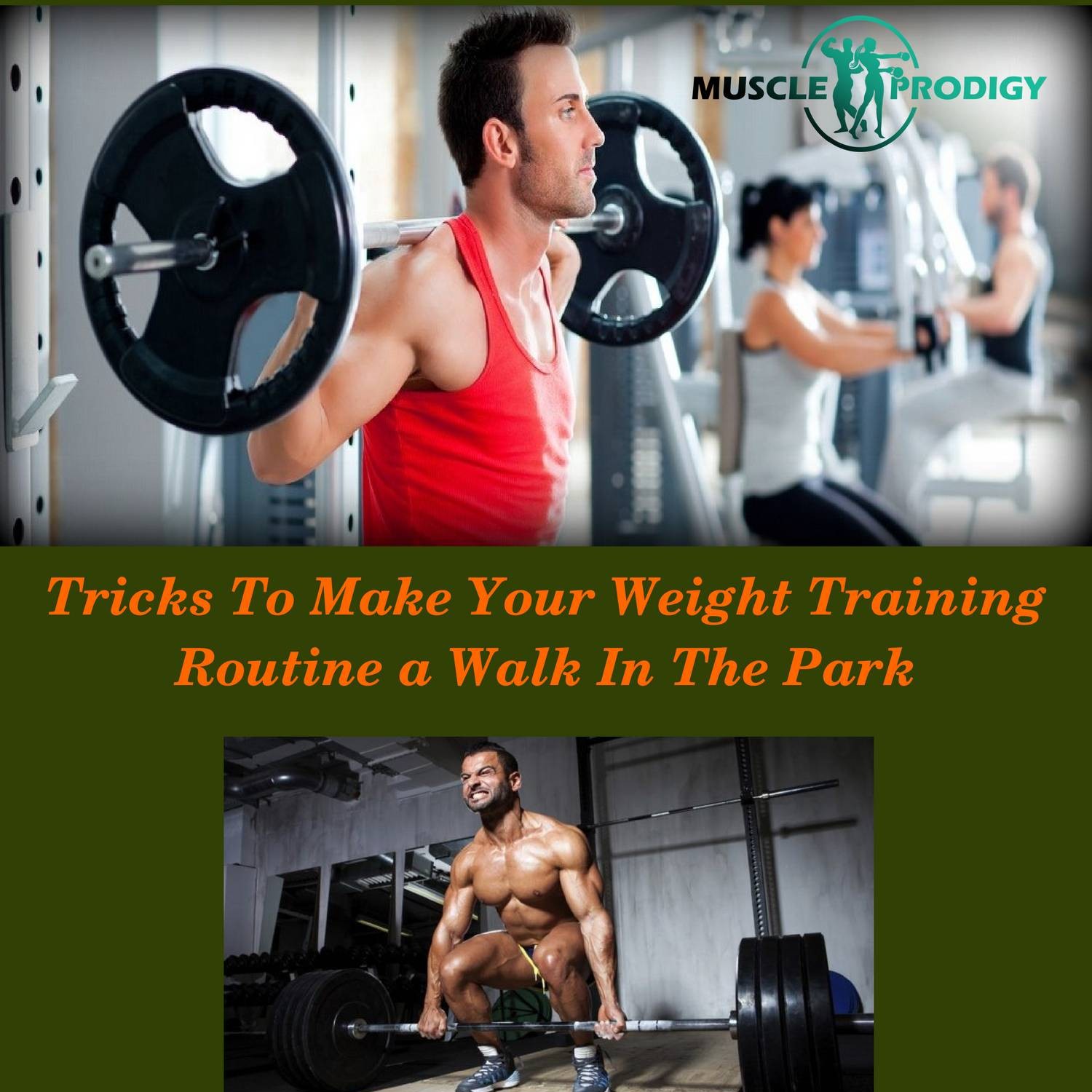 the-ultimate-full-body-weight-training-routine-for-beginner-pdf-docdroid