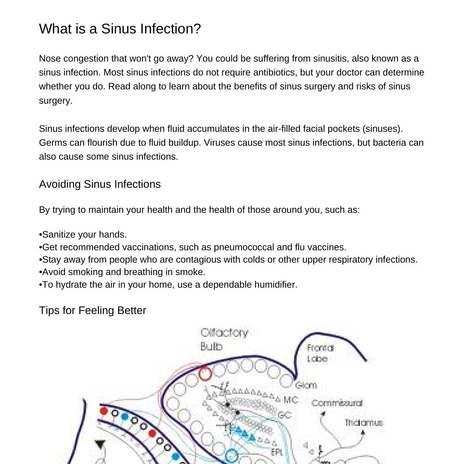 what-is-a-sinus-infectionhvpjm-pdf-pdf-docdroid