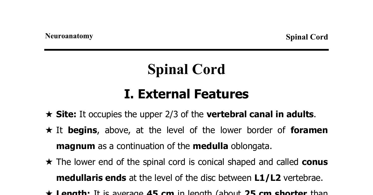 Spinal Cord 2024.doc | DocDroid