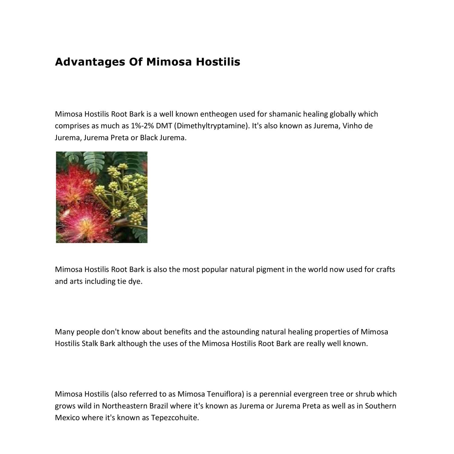 Mimosa hostilis.pdf DocDroid