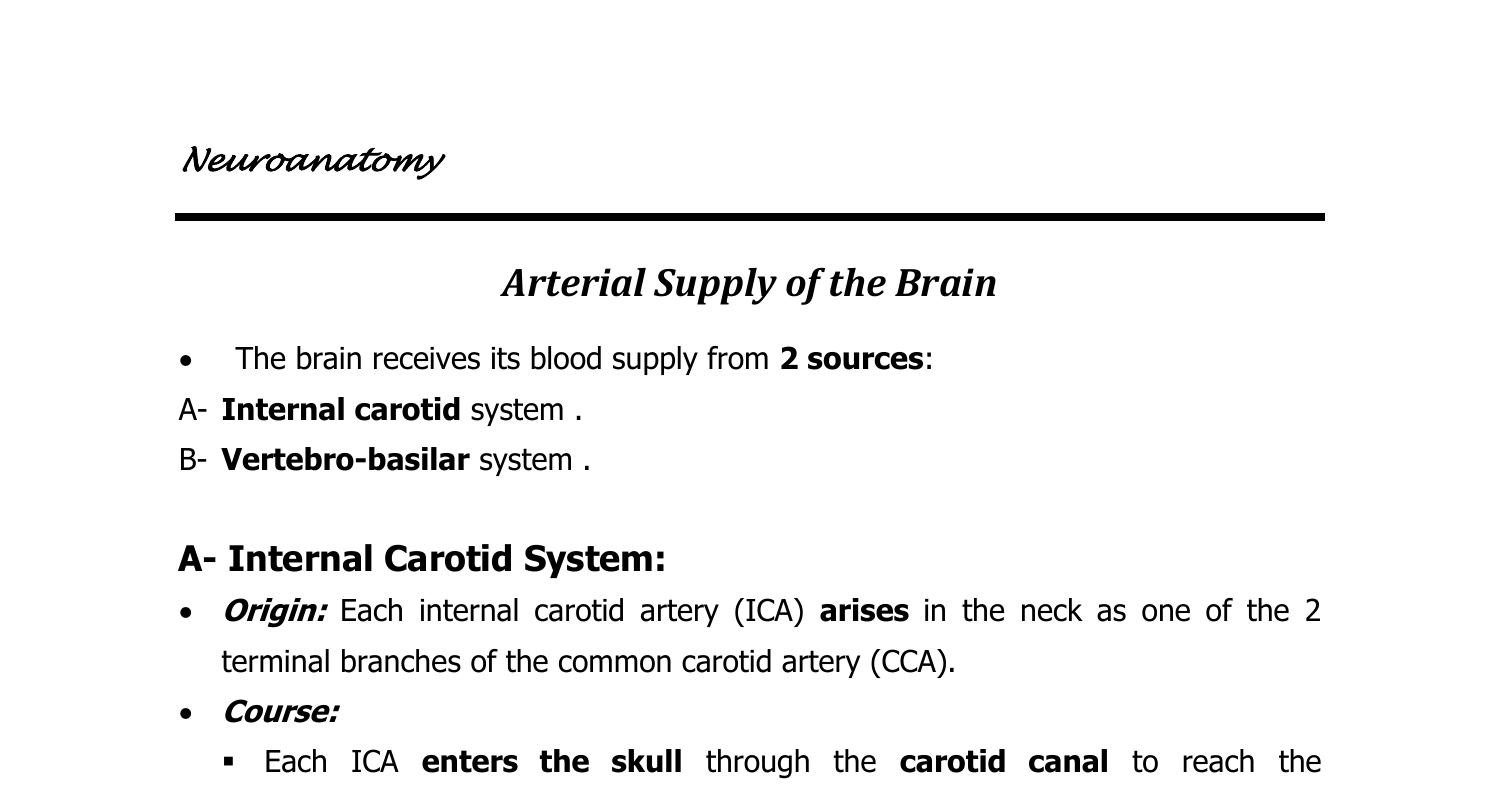 anatomy-blood-supply-brain-doc-docdroid