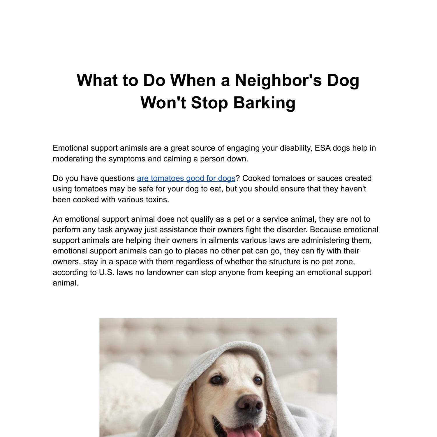 what-to-do-when-a-neighbor-s-dog-won-t-stop-barking-pdf-docdroid