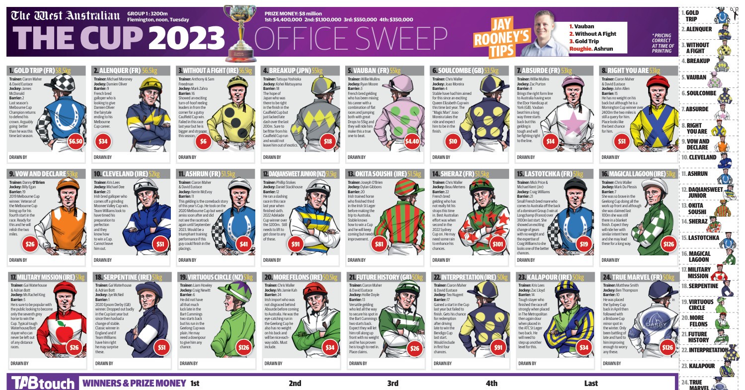 Melbourne Cup sweepstakes poster.pdf DocDroid