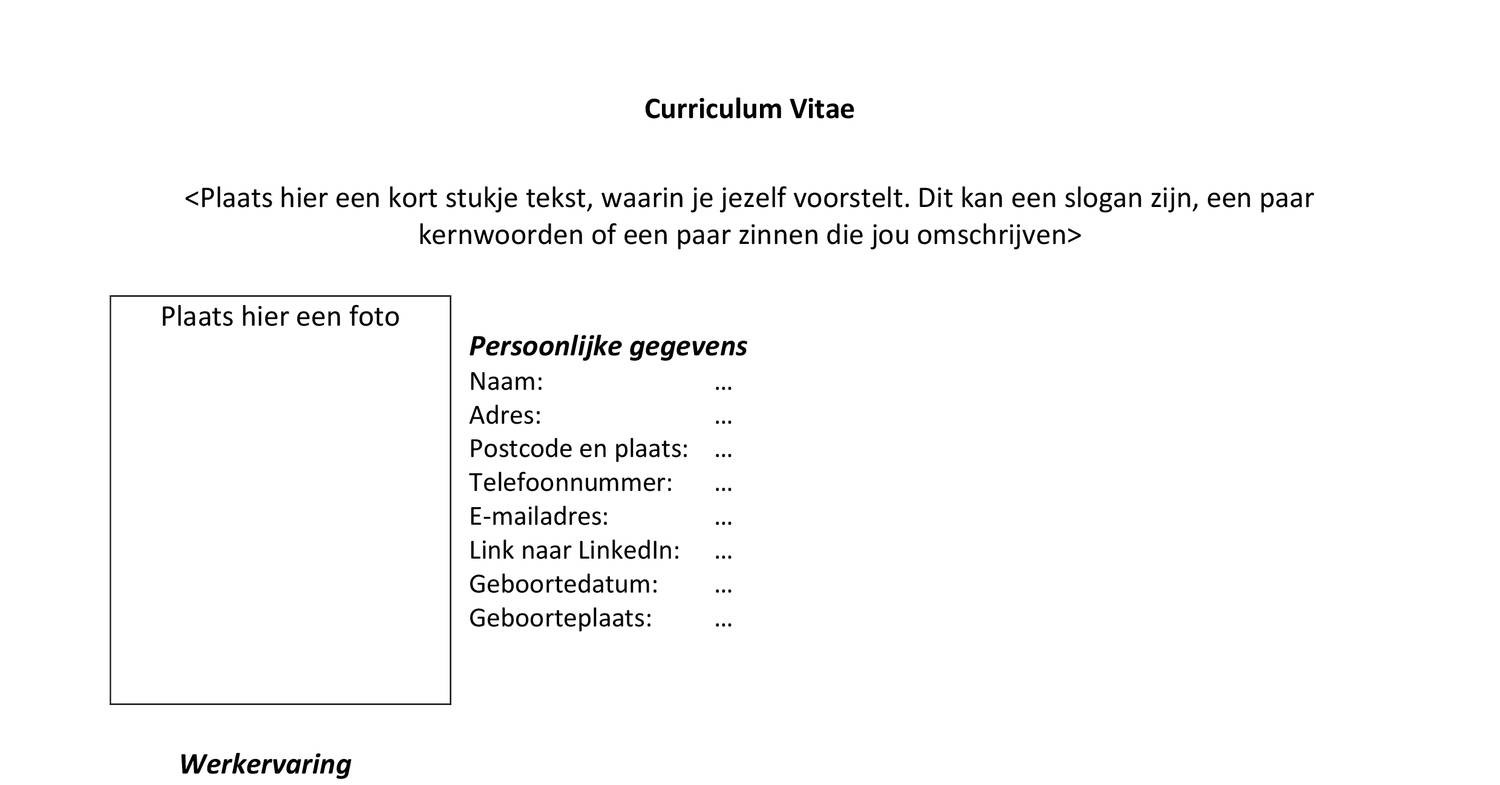 Voorbeeld Cv Docx Docdroid