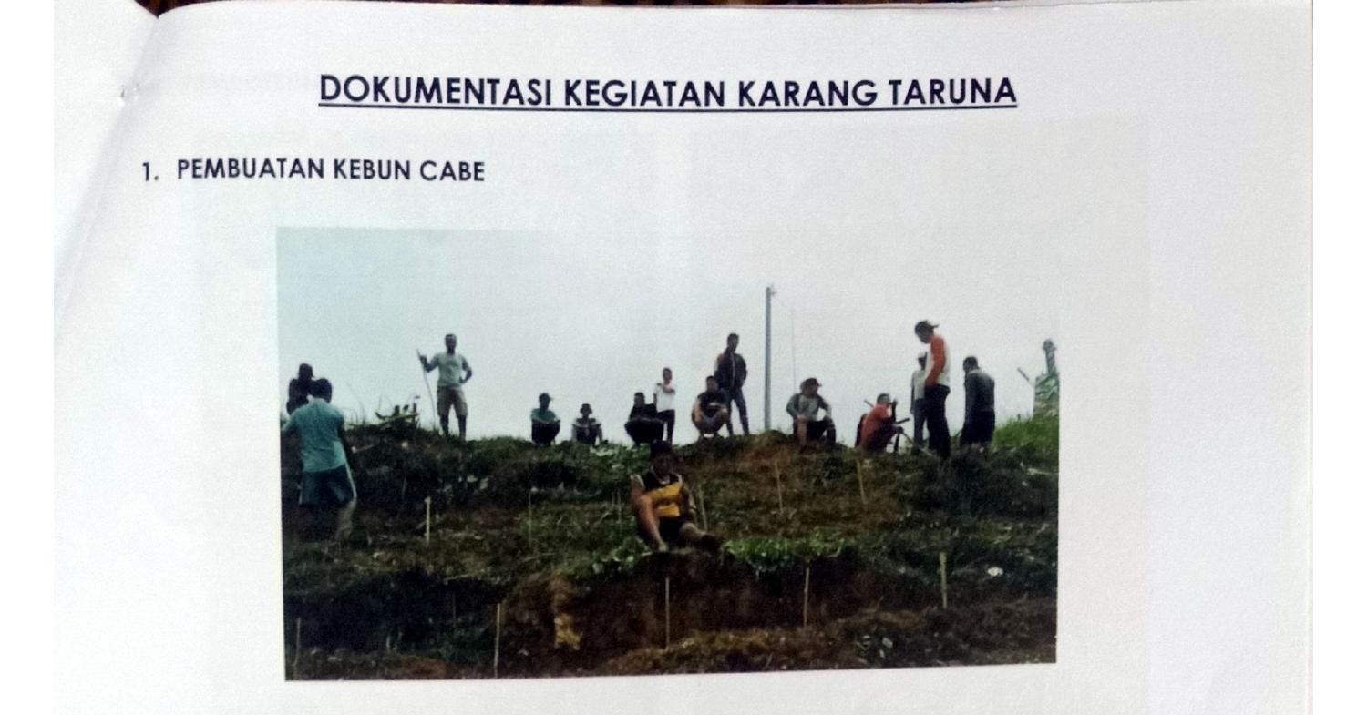 Kegiatan Karang Taruna Pdf Docdroid