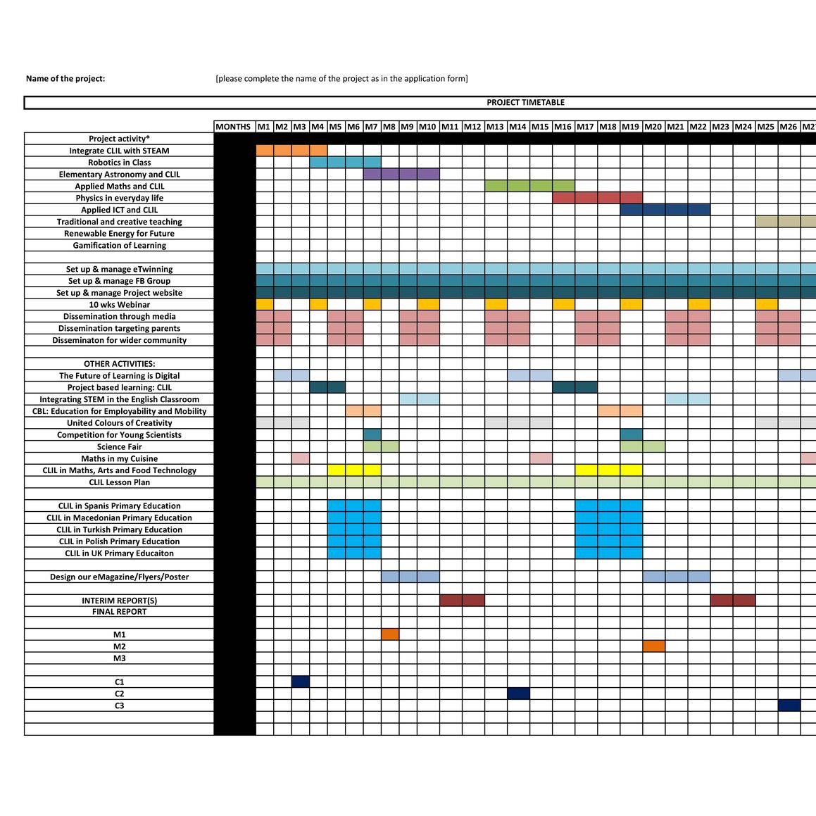 Project Activity Plan Template