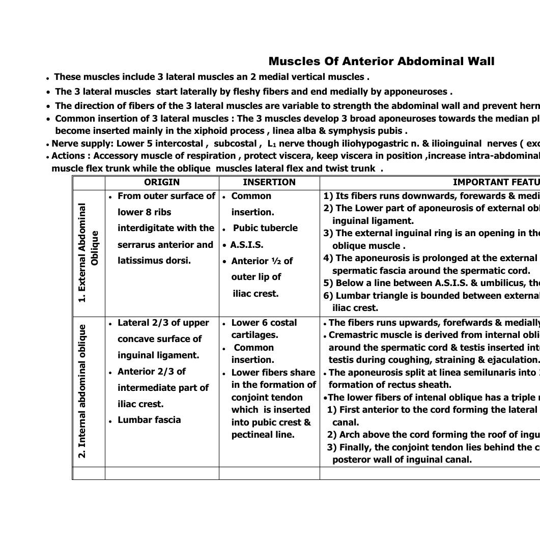 muscles-of-anterior-abdominal-wall-2022-doc-docdroid