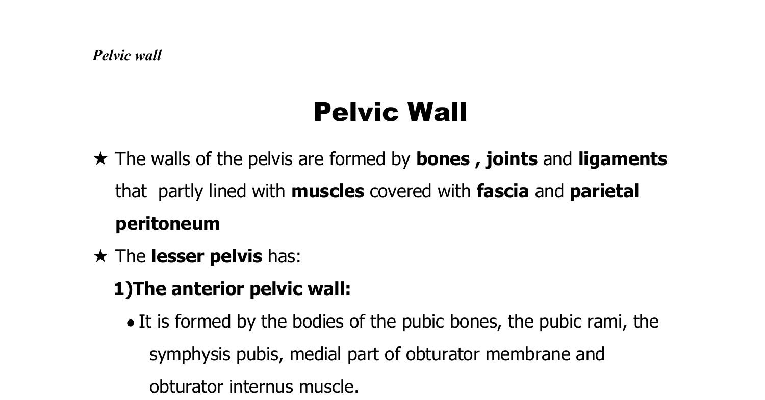 Anatomy Muscles Of Pelvis 2023docx Docdroid