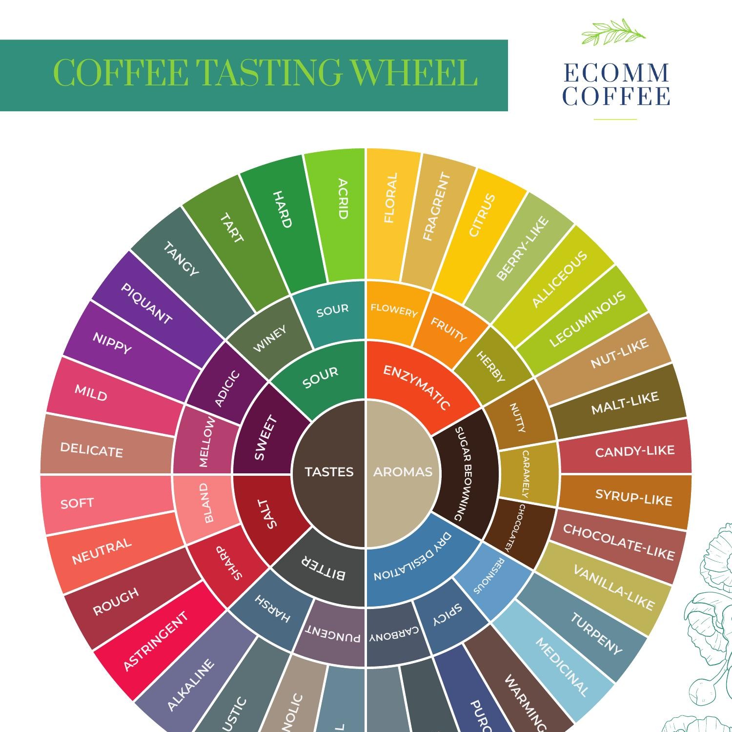 Coffee Tasting Wheel.pdf | DocDroid