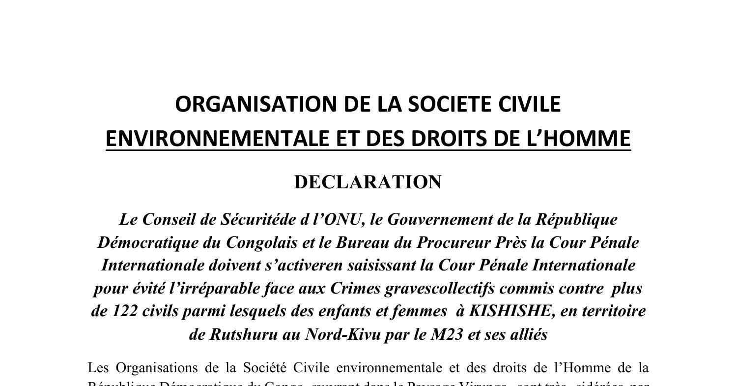 déclaration pour la Cour Pénale Internationale.pdf | DocDroid