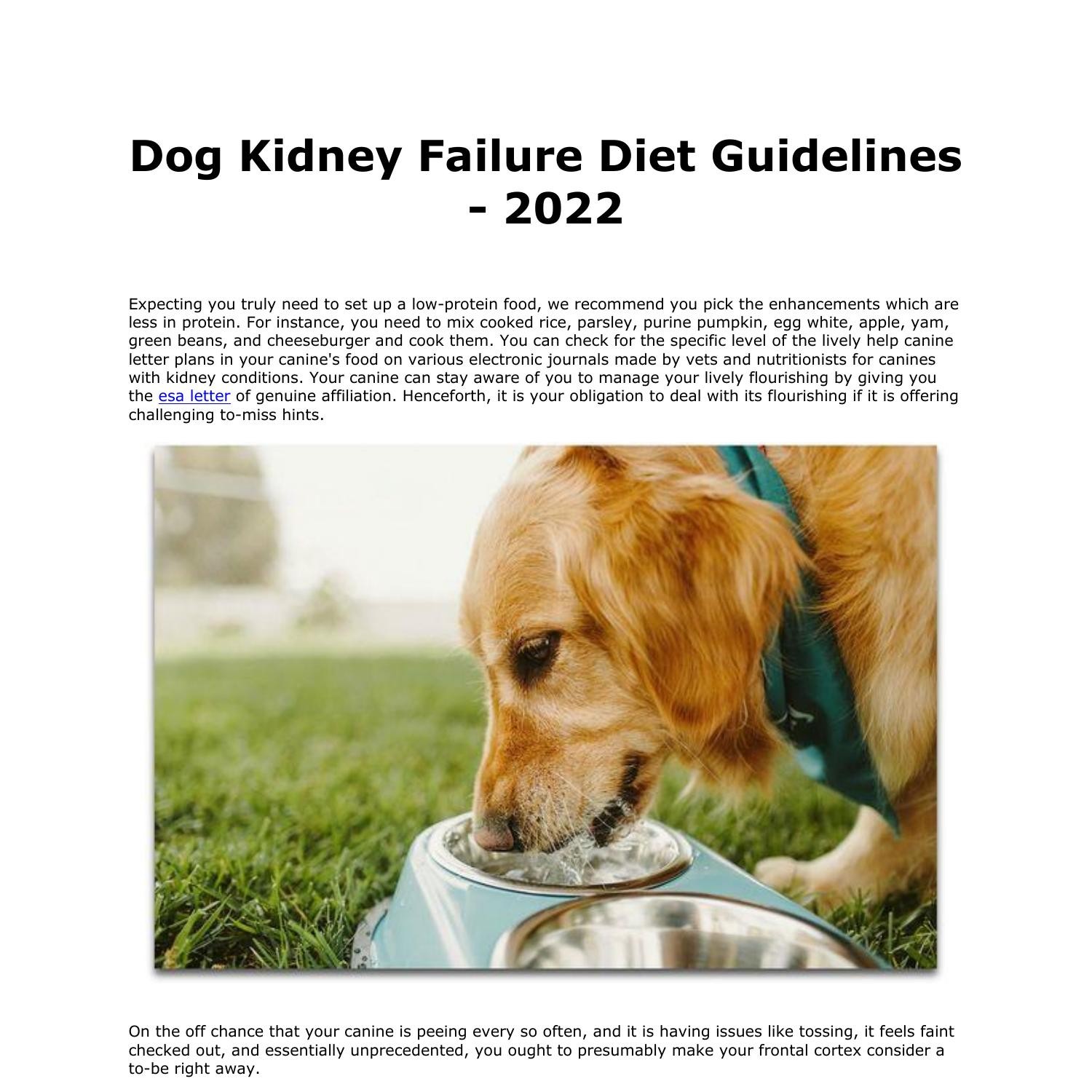 Dog Kidney Failure Diet Guidelines pdf DocDroid