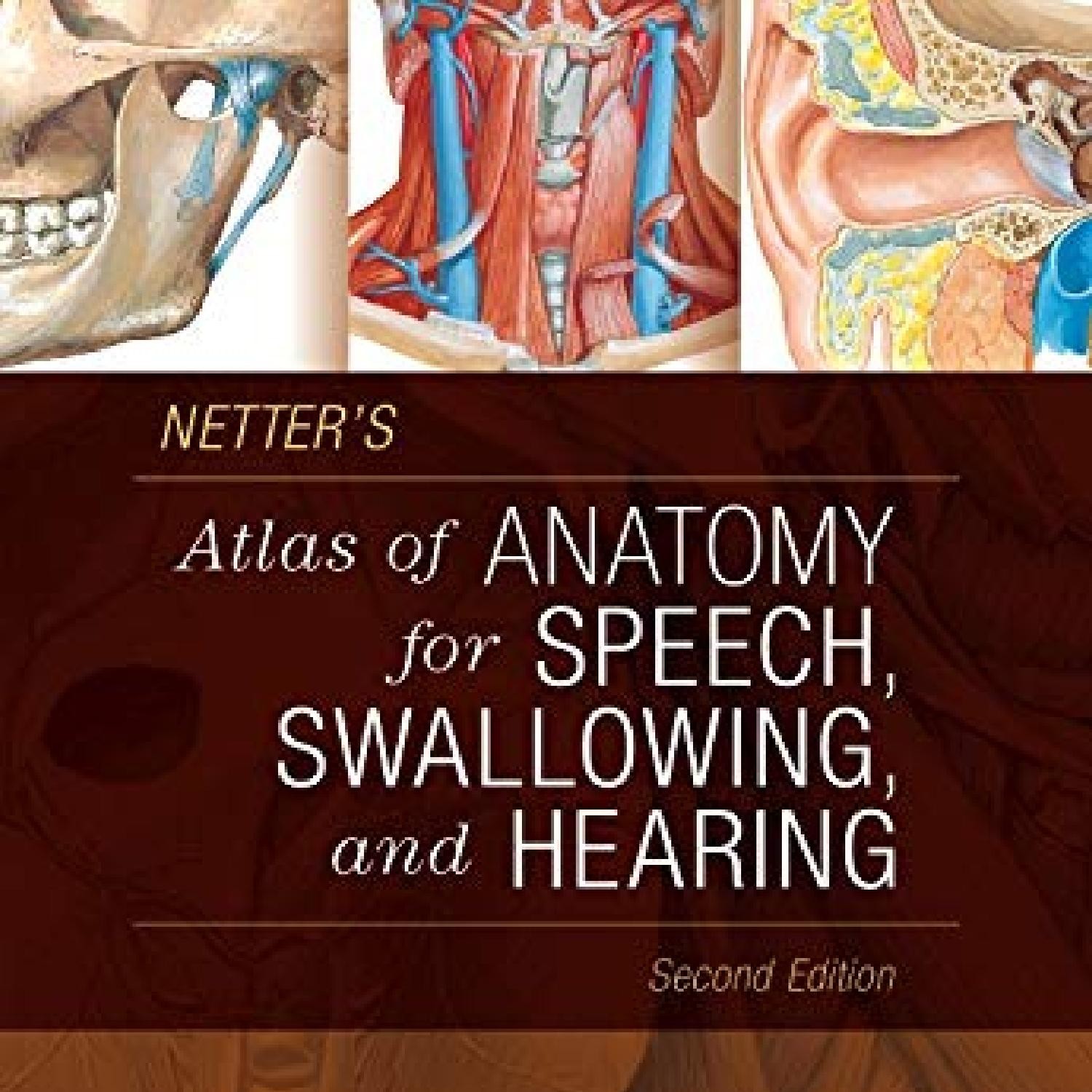 Book Netter S Atlas Of Anatomy For Speech Swallowing And Hearingpdf Docdroid 